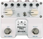 MOOER Reecho Pro Effet guitare