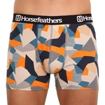 Men's boxers Horsefeathers Sidney Polygon