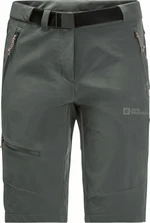 Jack Wolfskin Ziegspitz Shorts W Slate Green S-M Šortky