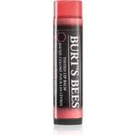 Burt’s Bees Tinted Lip Balm balzám na rty odstín Rose 4.25 g