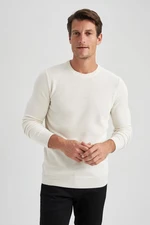 DEFACTO Slim Fit Slim Cut Crew Neck Basic Plain Knitwear Sweater