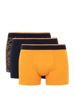 DEFACTO Regular Fit 3-Pack Boxer