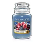 Yankee Candle Aromatická svíčka Classic velký Mulberry & Fig Delight 623 g