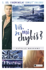 Víš, že mi chybíš? - Estelle Maskame - e-kniha