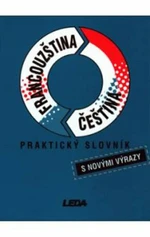 Praktický slovník Francouzština Čeština - Vlasta Rejtharová