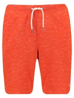 Men's sweat shorts Quiksilver BAY RISE