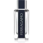 Salvatore Ferragamo Ferragamo toaletná voda pre mužov 100 ml