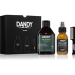 DANDY Beard gift box darčeková sada (na bradu)