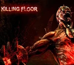 Killing Floor Bundle - Oct 2012 Steam CD Key