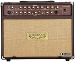 Carlsbro Sherwood 60 Combo pour instruments acoustiques-électriques