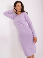 Light purple sweatshirt dress with zipper