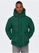 Dark Green Men's Quilted Winter Jacket ONLY & SONS Carl - Men