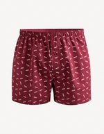 Celio Shorts Fiwolibel - Men