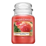 Yankee Candle Sun-Drenched Apricot Rose vonná svíčka 623 g