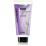 Brelil Numéro Smoothing Mask uhlazující maska pro nepoddajné vlasy 300 ml