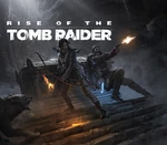 Rise of the Tomb Raider: 20 Year Celebration EU PC Steam Altergift