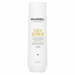 Goldwell Dualsenses Rich Repair Restoring Shampoo šampon pro suché a poškozené vlasy 250 ml