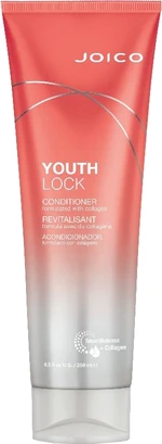 Joico Kondicionér pro zralé vlasy YouthLock (Conditioner) 250 ml