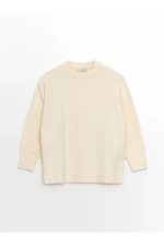 LC Waikiki Crew Neck Plain Long Sleeve Oversize Women's Knitwear Sweater