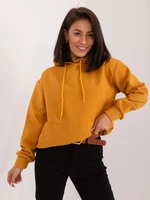 Sweatshirt-HP-BL-0103.07-dark yellow