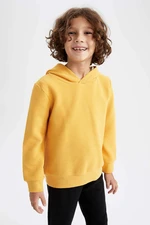 DEFACTO Boys Hoodie Sweatshirt