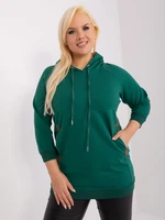 Sweatshirt-RV-BL-8221.96-green