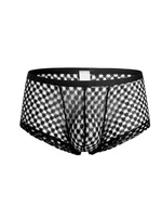 Sexy Mesh Men's Panties Sheer Transparent Exotic Underwear Boxer Underpants Low Waist Bulge Pouch Underwear New In Now Lingerie