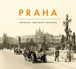 Praha historická - Luboš Stiburek, Pavel Scheufler, Otakar Jestřáb