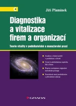 Diagnostika a vitalizace firem a organizací - Jiří Plamínek - e-kniha