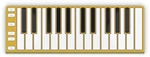 CME Xkey 25 Gold