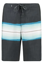 Pantaloncini da bagno da uomo Quiksilver