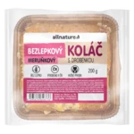 ALLNATURE Bezlepkový meruňkový koláč s drobenkou čerstvý 200 g