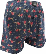 Men's boxer shorts VoXX multicolored