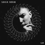 Adam Mišík – 2.0