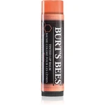 Burt’s Bees Tinted Lip Balm balzám na rty odstín Zinnia 4.25 g