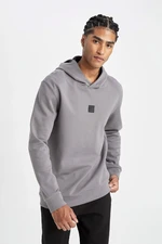 DEFACTO Fit Men's Gray Standard Fit Hooded Sportsman Sweatshirt