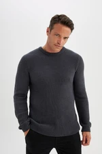 DEFACTO Men's Anthracite Standard Fit Regular Cut Crew Neck Textured Knitwear Sweater