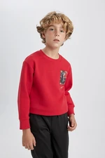 DEFACTO Boy Red Hooded Atatürk Printed Sweatshirt