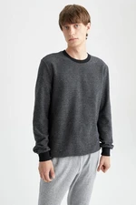 DEFACTO Regular Fit Crew Neck Sweatshirt