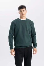 DEFACTO Men's Green Regular Fit Crew Neck Jacquard Sweatshirt