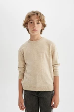 DEFACTO Boy's Ecru Crew Neck Basic Plain Knitwear Sweater