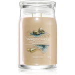 Yankee Candle Amber & Sandalwood vonná sviečka 567 g