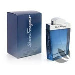 Salvatore Ferragamo Subtil 100ml