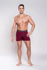 Men's briefs Logan - wine