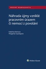 Náhrada újmy vzniklé pracovním úrazem či nemocí z povolání - Margerita Vysokajová, Kateřina Demová