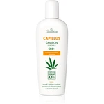 Cannaderm Seborea CBD+ šampon proti lupům 150 ml