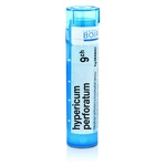 BOIRON Hypericum Perforatum CH9 4 g