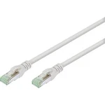 Síťový, PC, notebook, RJ45 kabel RJ45 Digitus DK-1844-005, CAT 8.1 , S/FTP, 0.50 m, šedá