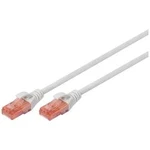 Síťový kabel RJ45 Digitus DK-1617-040, CAT 6, U/UTP, 4.00 m, šedá