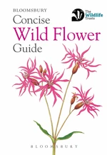 Concise Wild Flower Guide